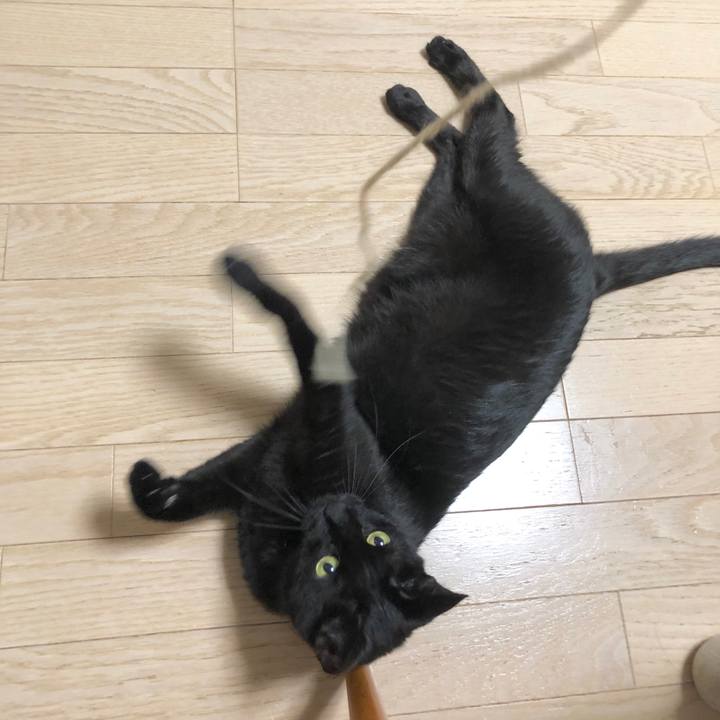 0a810ef7 d817 495b 81bd 77586ac3259a 1597154705941