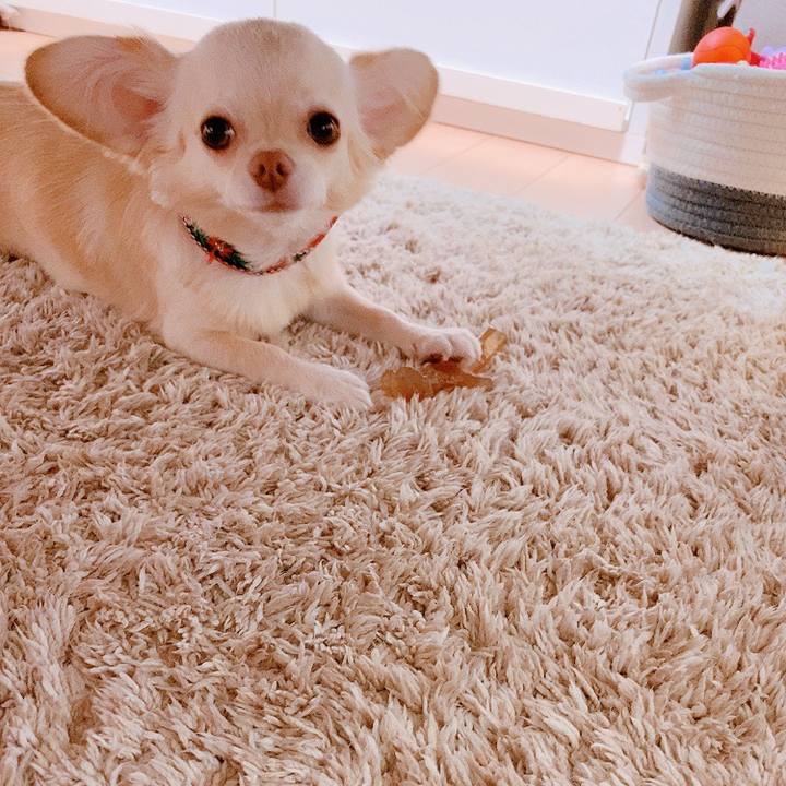 0a8124c8 7351 4a0a 94fe 64b9dfff75b6 1629600210161