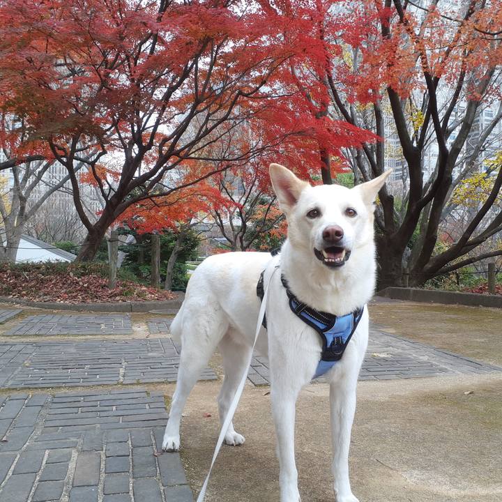 0a8127d3 26f3 4804 a383 f99f98aeab14 1671259614507