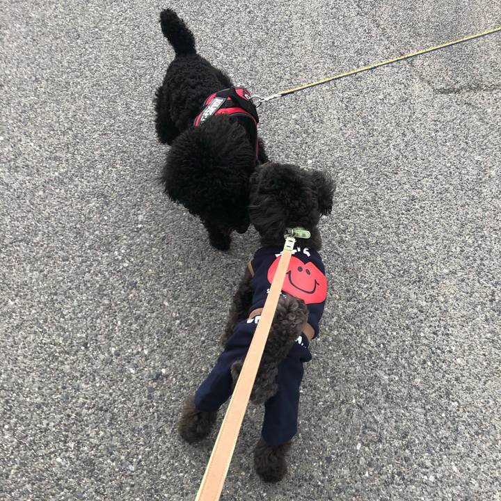 0a812b83 0731 406a b449 5f7bc2302881 1615645764045