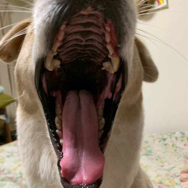 0a815210 3fc6 43ae a7fa a90eee363043 1567772628369