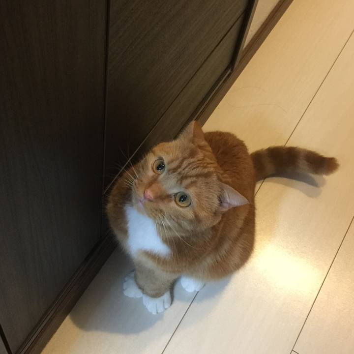 0a816547 47fc 400e 9a6b b564a573bf1d 1555023244441