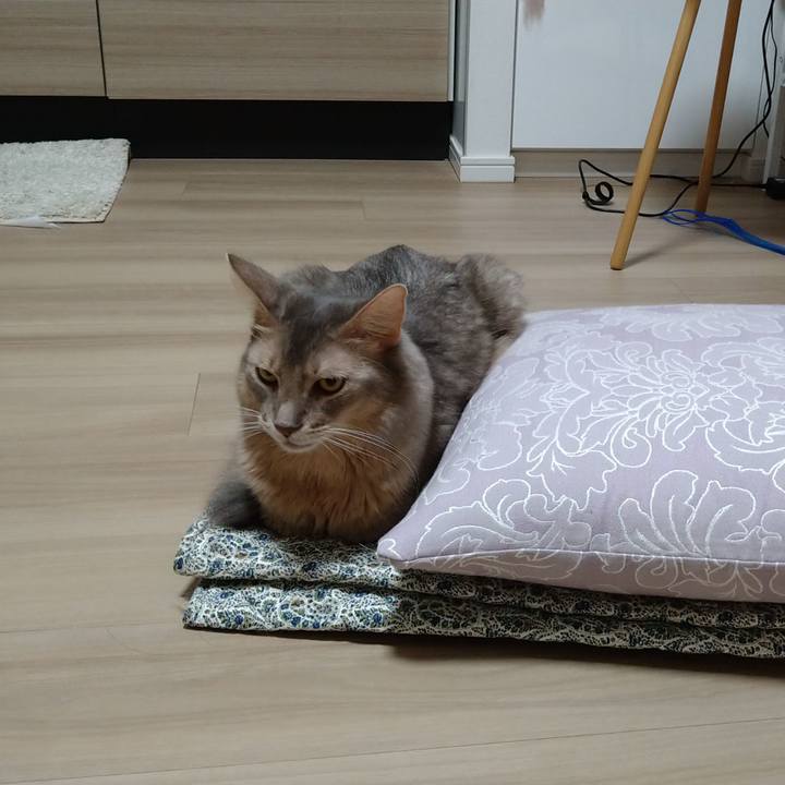 0a8181aa de75 49c3 82f4 11eb02cf6370 1602071675016