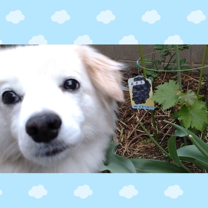 0a8187a0 b254 48d7 b4b4 4d90d812d0ac 1651094331325