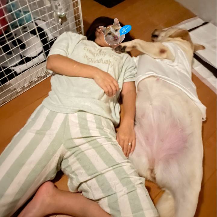 0a819130 998b 450a 8b47 c96efd65c57a 1663681916759