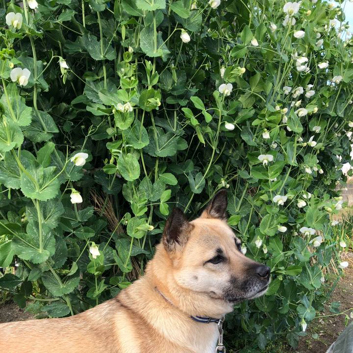 0a81cc65 66a1 456f 9343 ad5fdd69440a 1555070952813