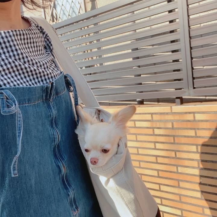 0a81d2be 3760 4292 9ffb c3f5a949cec6 1613995219435