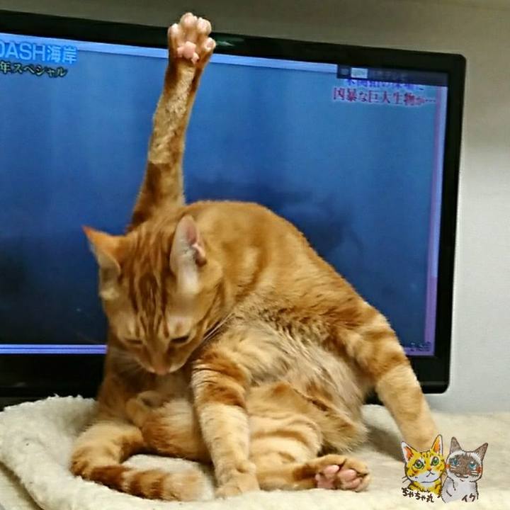 0a820667 b4d8 45a8 b147 6fa0c73f4c79 1554065071364