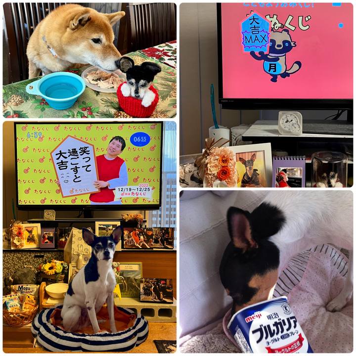 0a821c47 1470 4a98 a4c1 dec0e4003580 1671405134019