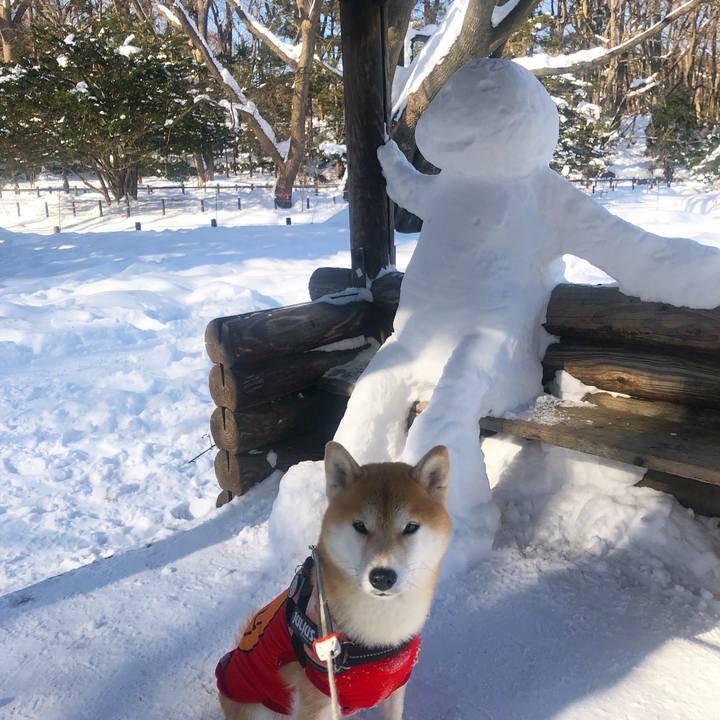 0a8243eb 6a6f 423d ac0c 6bbc88311995 1549848972870