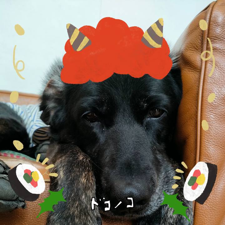 0a825f62 3b92 4212 8380 1c6e2e5b7e0e 1706834034371