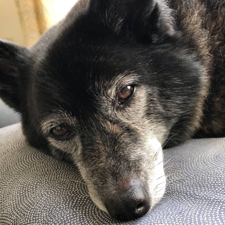 0a82807d f7ba 47ce b48d 813de12f685f 1570109386467