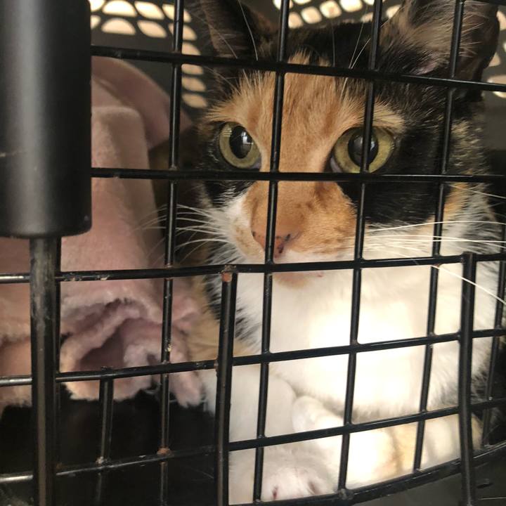 0a82a0a3 c954 410b 9759 2ea98bf8ba02 1610856406555