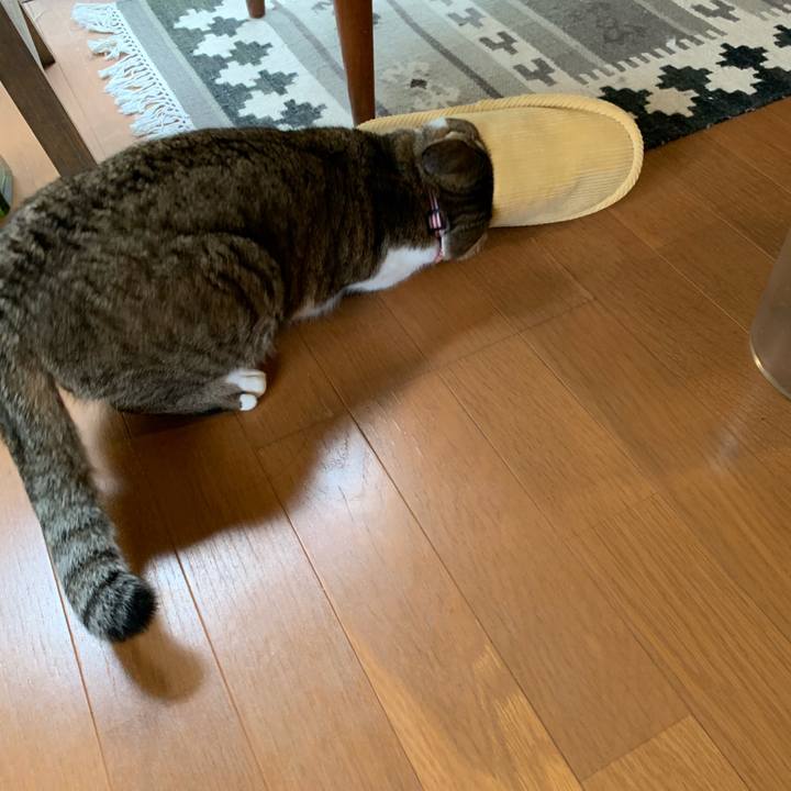 0a82ddf7 75be 4503 81ec c04e16551d8f 1576546648700