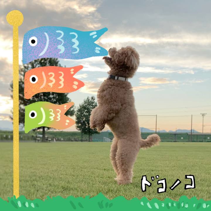 0a834532 d2bd 4bfa 9e2c 1ec989b7f5c6 1714895298058
