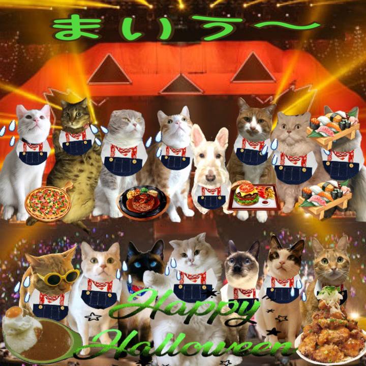 0a83b632 e5f0 4ef2 a0cc d494a886ada4 1572529609111