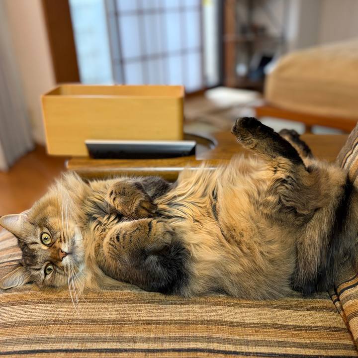 0a84440c 2de3 4a5f 8a29 ae34e0397e21 1764800601035