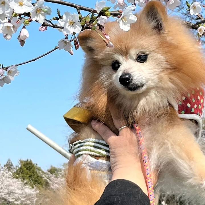 0a84769d 7db4 41de b3b4 20f05c07f5c9 1712919520029