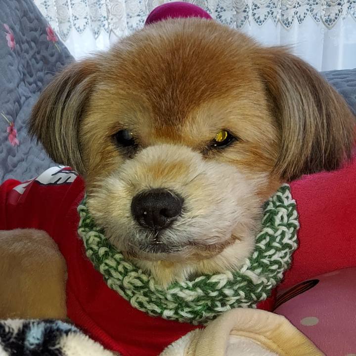 0a84772f a5e2 4169 9df4 3d54c4ff231c 1645136341349