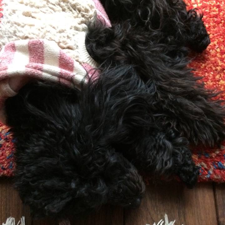 0a84b93a b559 4183 b903 5565003e17e2 1519861353521