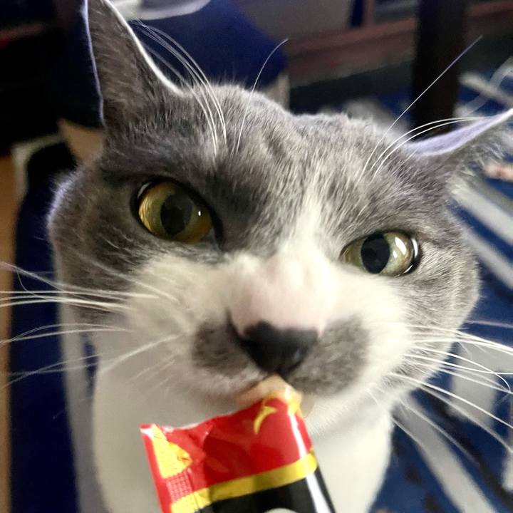 0a84cf45 c767 42f5 b97d 7e7b59cb2a5c 1679379201649