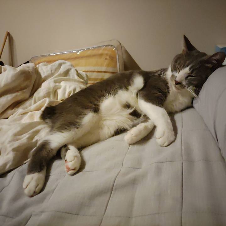 0a84dd6d 1df0 4b31 b29f aeac8126597c 1663331819259