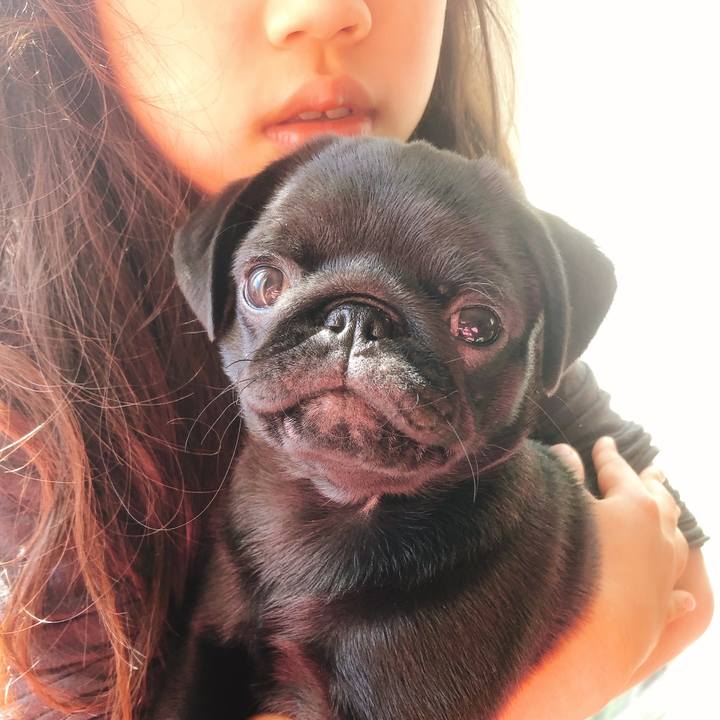 0a84ec13 9024 4975 aab2 faa71dcbb8e2 1588922737155