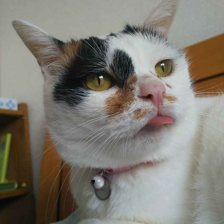 0a84f1d5 b6bc 49db 9ea6 e42aad663706 1534560084970