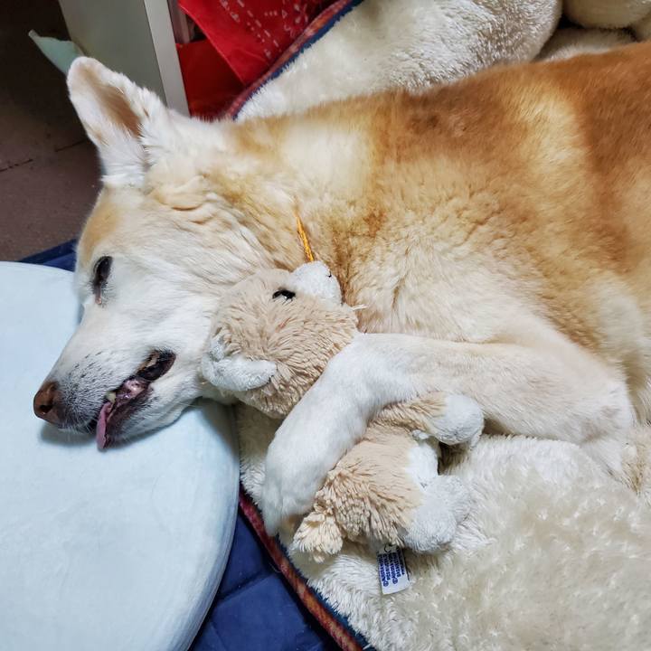 0a84f2db 559f 4efe bb5b 93c079c2c2da 1682473825733