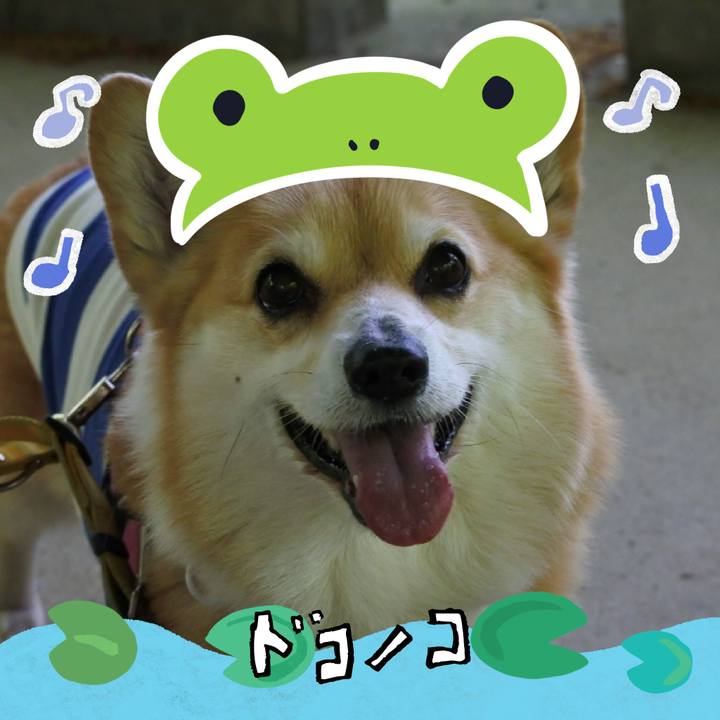 0a84f3be 7bce 4ae8 8692 0ac2ed82705e 1718464173137