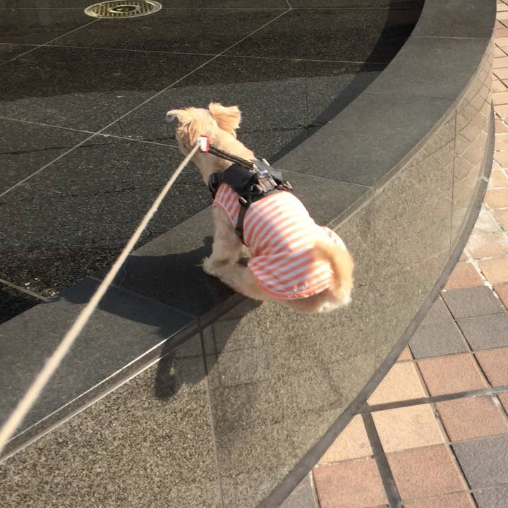 0a84f853 6d48 42b3 8908 188f08597109 1564877821463