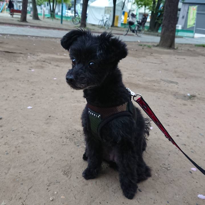 0a850f51 3235 464f 9d3c 5eeeaed74dc4 1523105396532