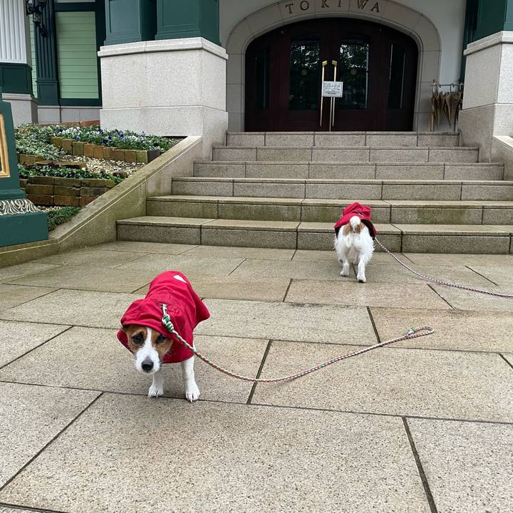 0a8525ad 2576 4777 8d03 49d340c98537 1638919135303