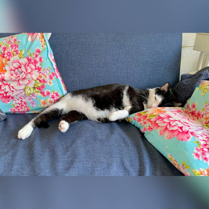 0a853713 872e 4b1b b151 f83fd7c1f252 1683370898410