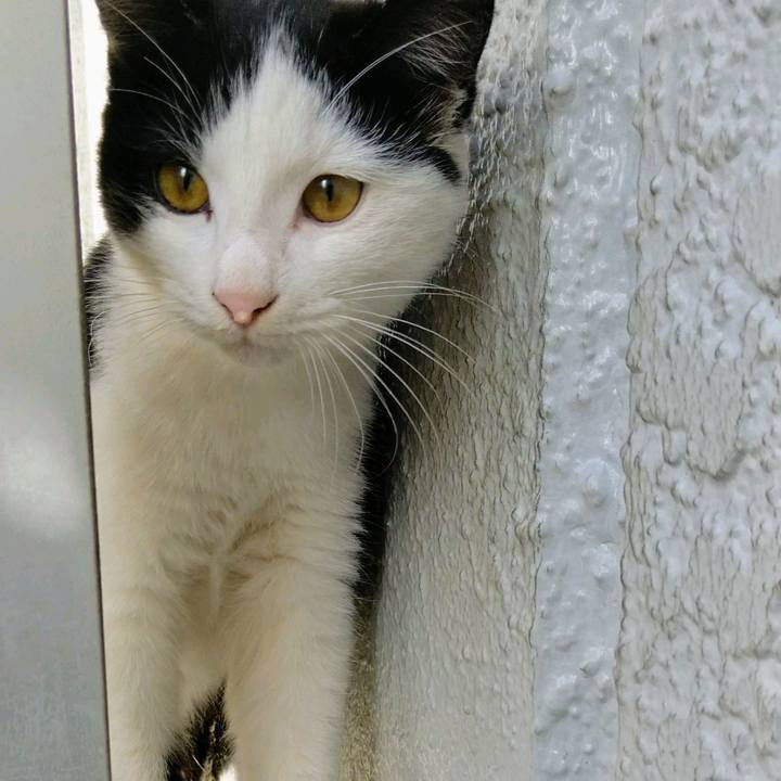 0a854cfc c5a3 434c b0b6 316d74dc13a1 1607745230416