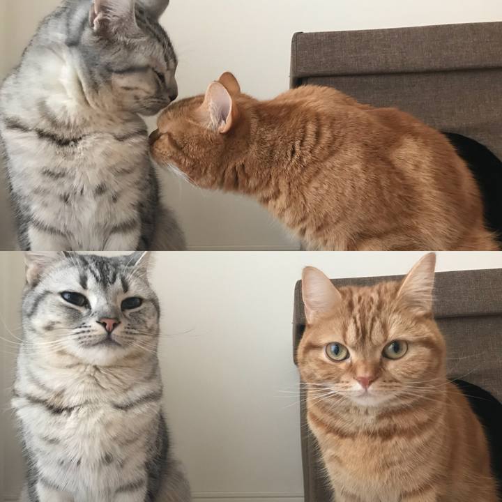 0a854eea b1b5 4a13 8f33 adb49ba60d0c 1517177642544