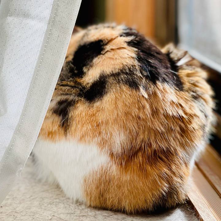 0a85829d a7e4 454f af6c ed2f2f17a553 1616985834311