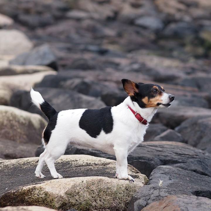 0a85a74f 5c43 42cc 8de9 ba2c359a9cd7 1519707355991