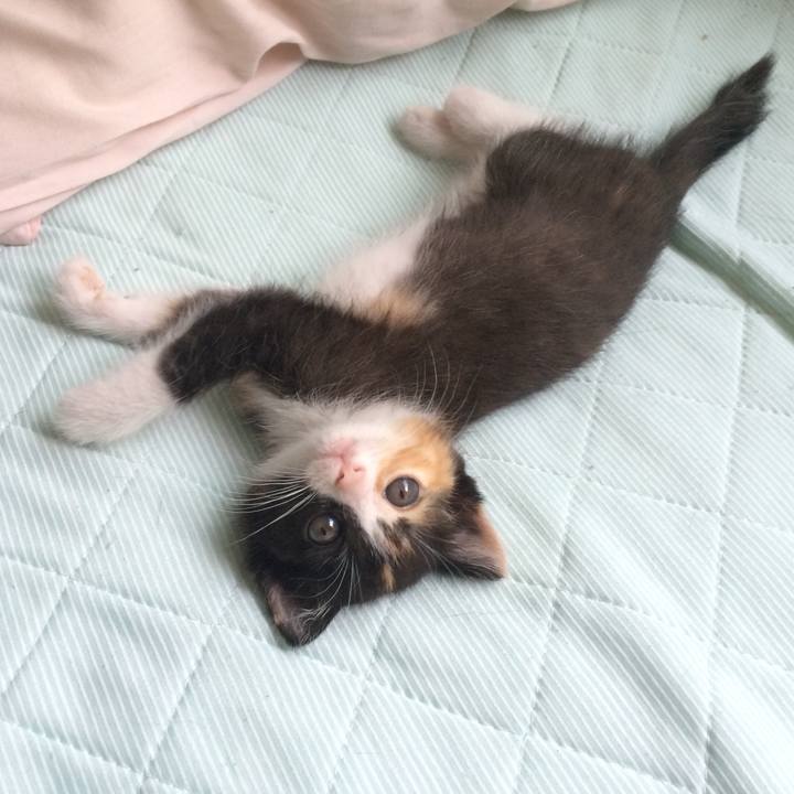 0a85af92 08e9 4f9a a05f 0dff42200e71 1519216250114