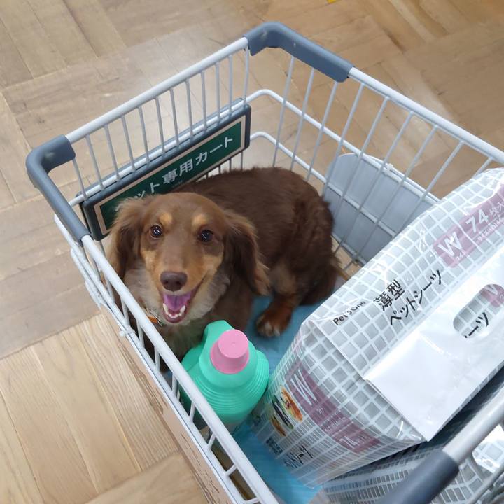 0a85cd0d 3378 482c 97b4 5500b5fd0178 1631435368178