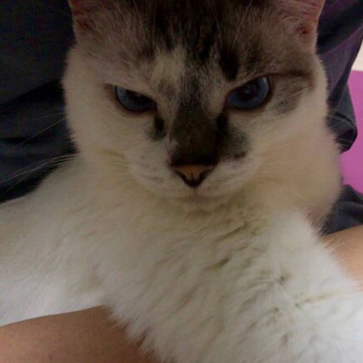 0a85f0a3 9843 4151 94e2 b6dc6be66842 1536842278955