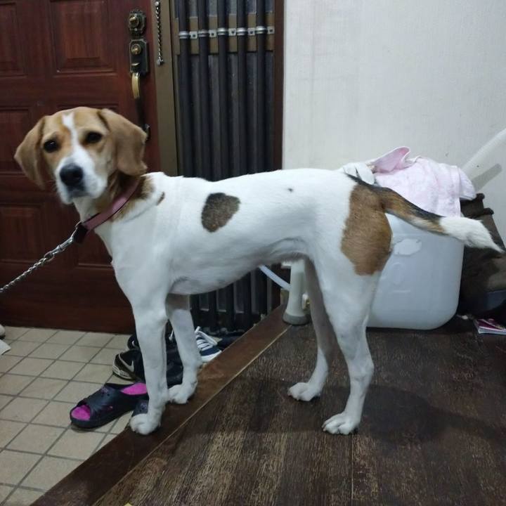 0a8644e9 a7fb 492b 9e51 70cc4d878329 1575979729588