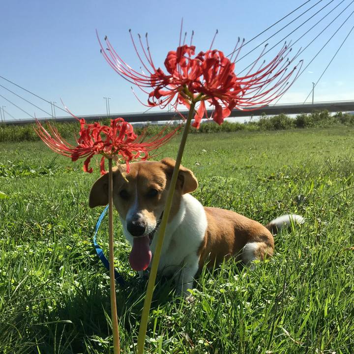 0a86b1dc d0a3 4ff2 8298 26f93685b0a2 1601428926581