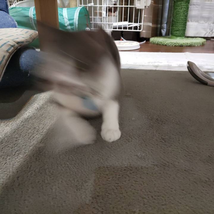 0a86c0b0 bb23 4200 bd07 42ff8db217a9 1695651445624