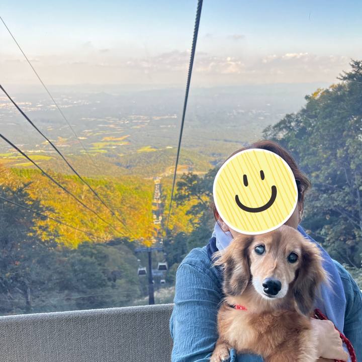 0a8738e6 24cb 4214 b575 d61c169a810e 1664890460966