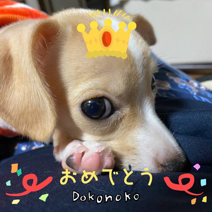 0a87553f eda8 4604 93a9 2cabf5b58374 1685968593502