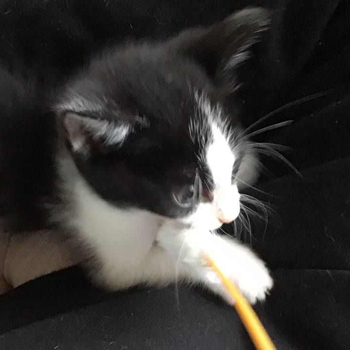 0a878180 e6c9 48fe a040 fcb8c71ebd29 1623372115175