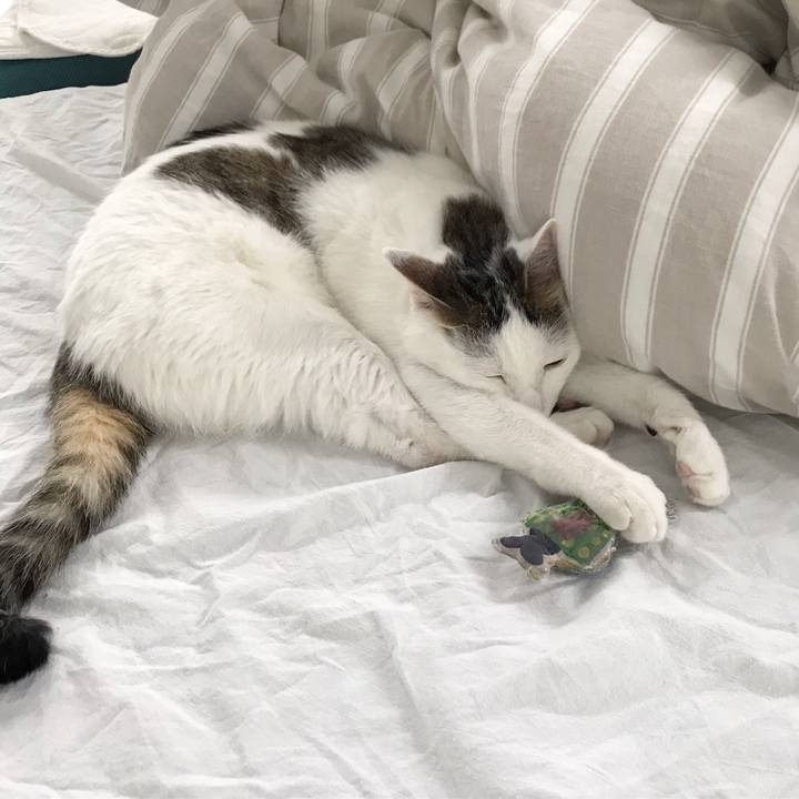 0a87dbe8 af35 4ad7 b2c6 d88d4ea9bfdd 1557798018256