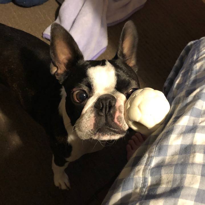 0a87e1bd 28cc 4e5e a6c6 776dc4c964f2 1544272191854