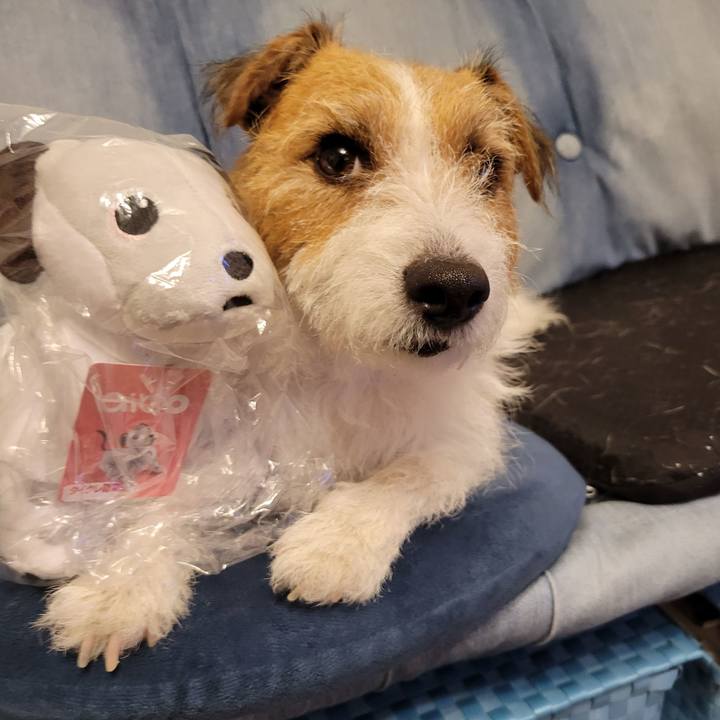 0a87ebca 727a 4f0e aa86 96bfc6f4b50f 1658575562832